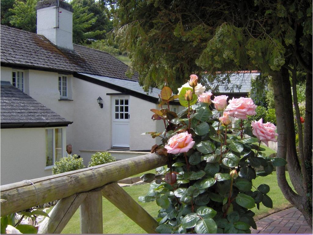 Appartamento Frogwell Strete Esterno foto